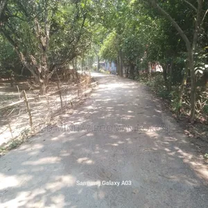 জমি বিক্রয় হবে (কাটাখালী পৌরসভা)