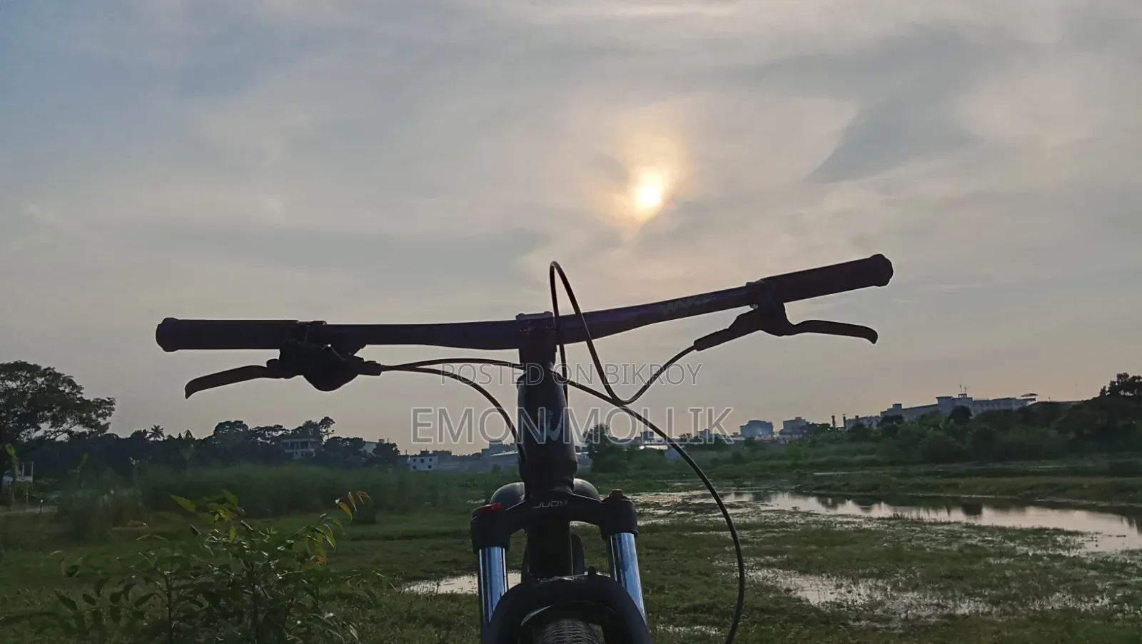 Cycle Suspension