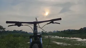 Cycle Suspension