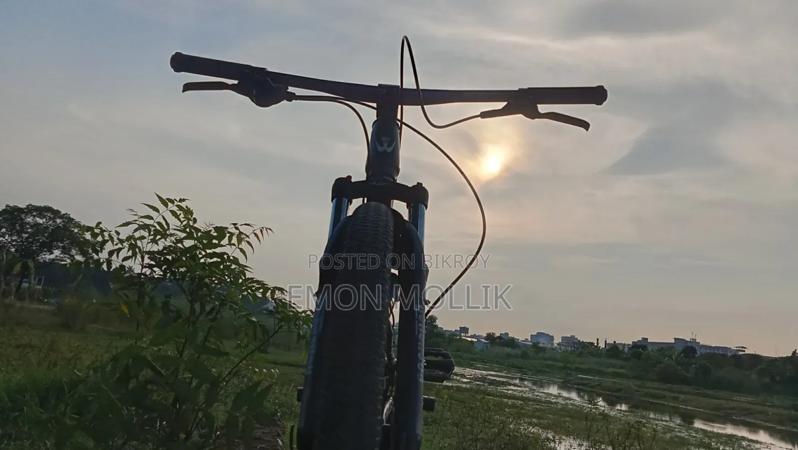 Cycle Suspension