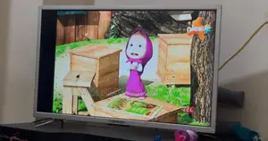 32 Inch LED Television
