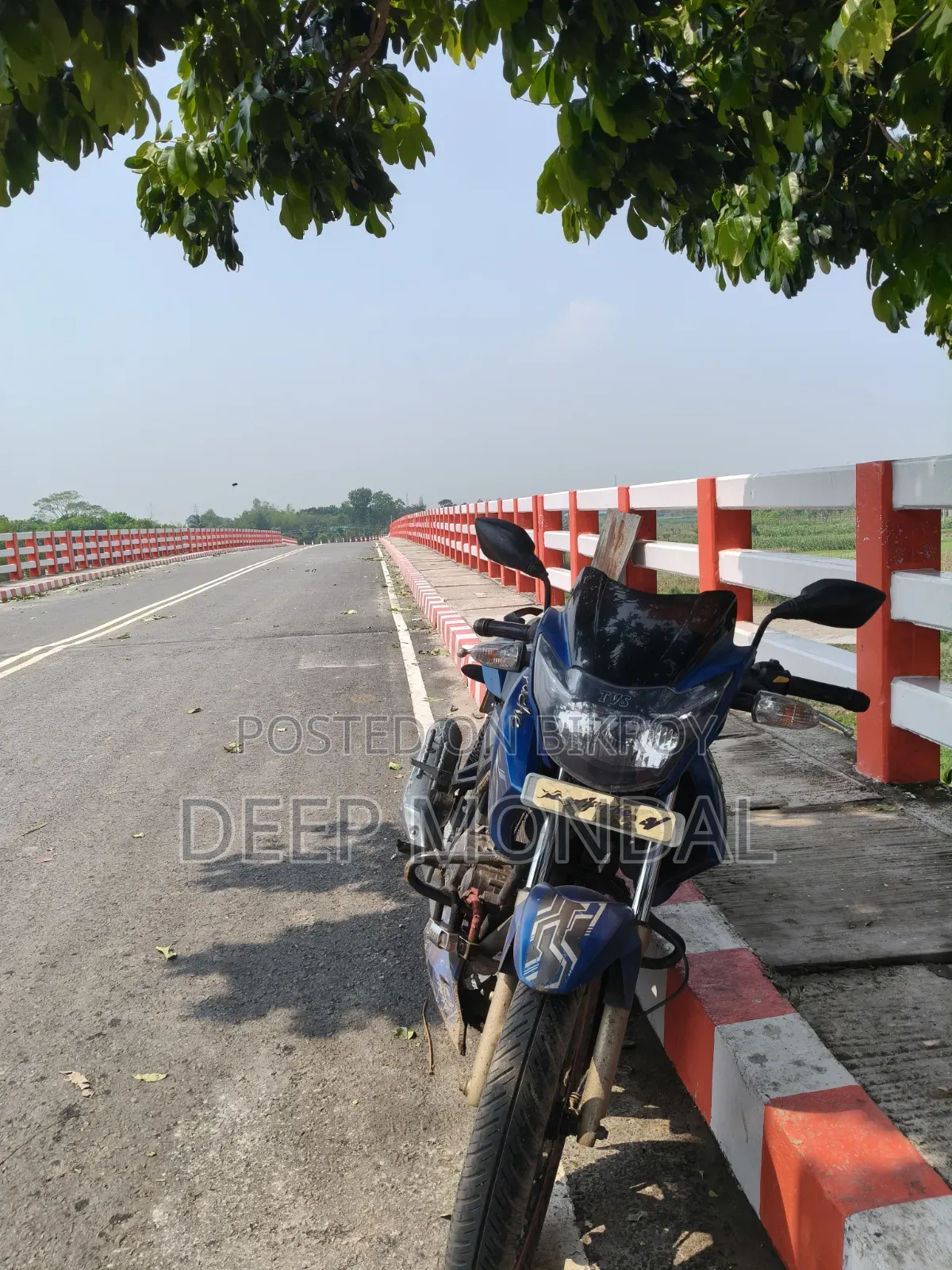 New TVS Apache RTR 160 2V 2019 Blue