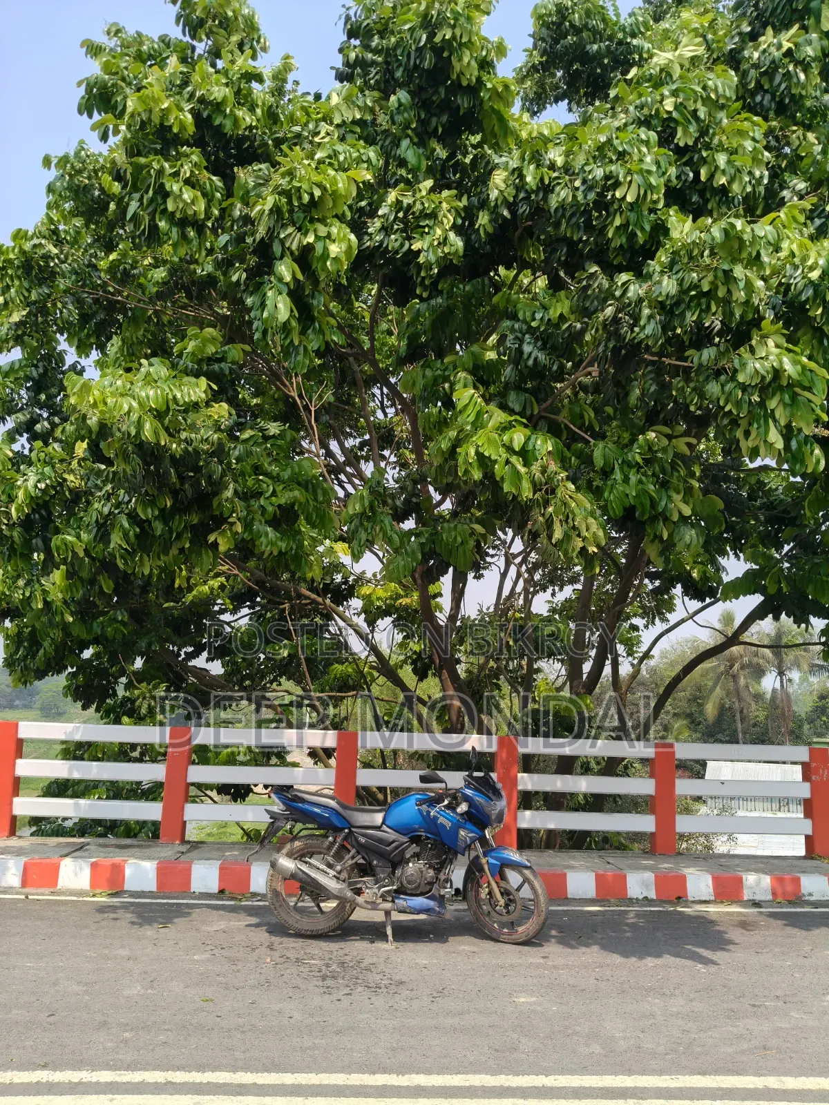 New TVS Apache RTR 160 2V 2019 Blue