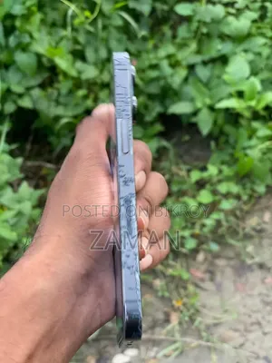 Apple iPhone 13 Pro 256 GB Gray