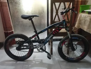Phoenix SWAT Bicycle