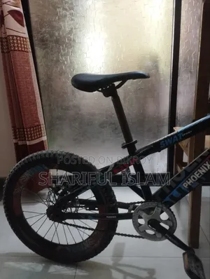 Phoenix SWAT Bicycle