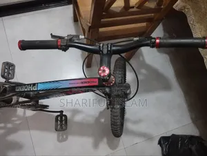 Phoenix SWAT Bicycle