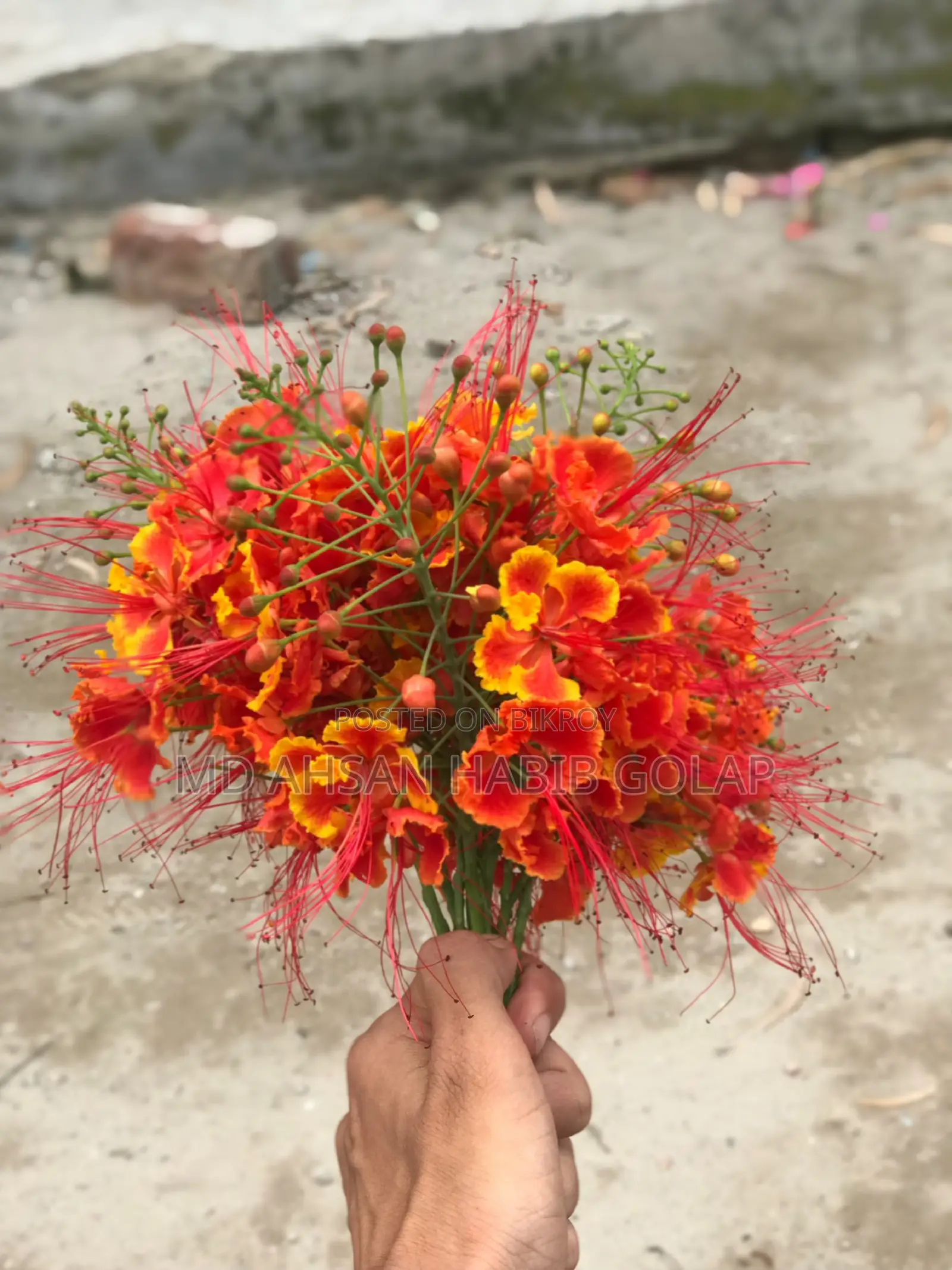 অ্যাপল আইফোন ৭ প্লাস ১২৮ জিবি ব্ল্যাক