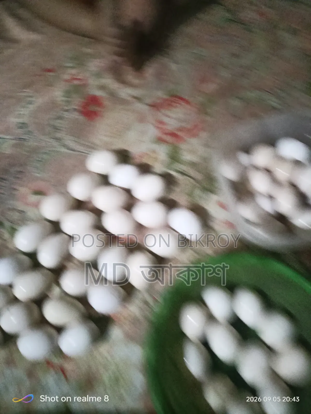 বেন্থাম এর বিজ ডিম