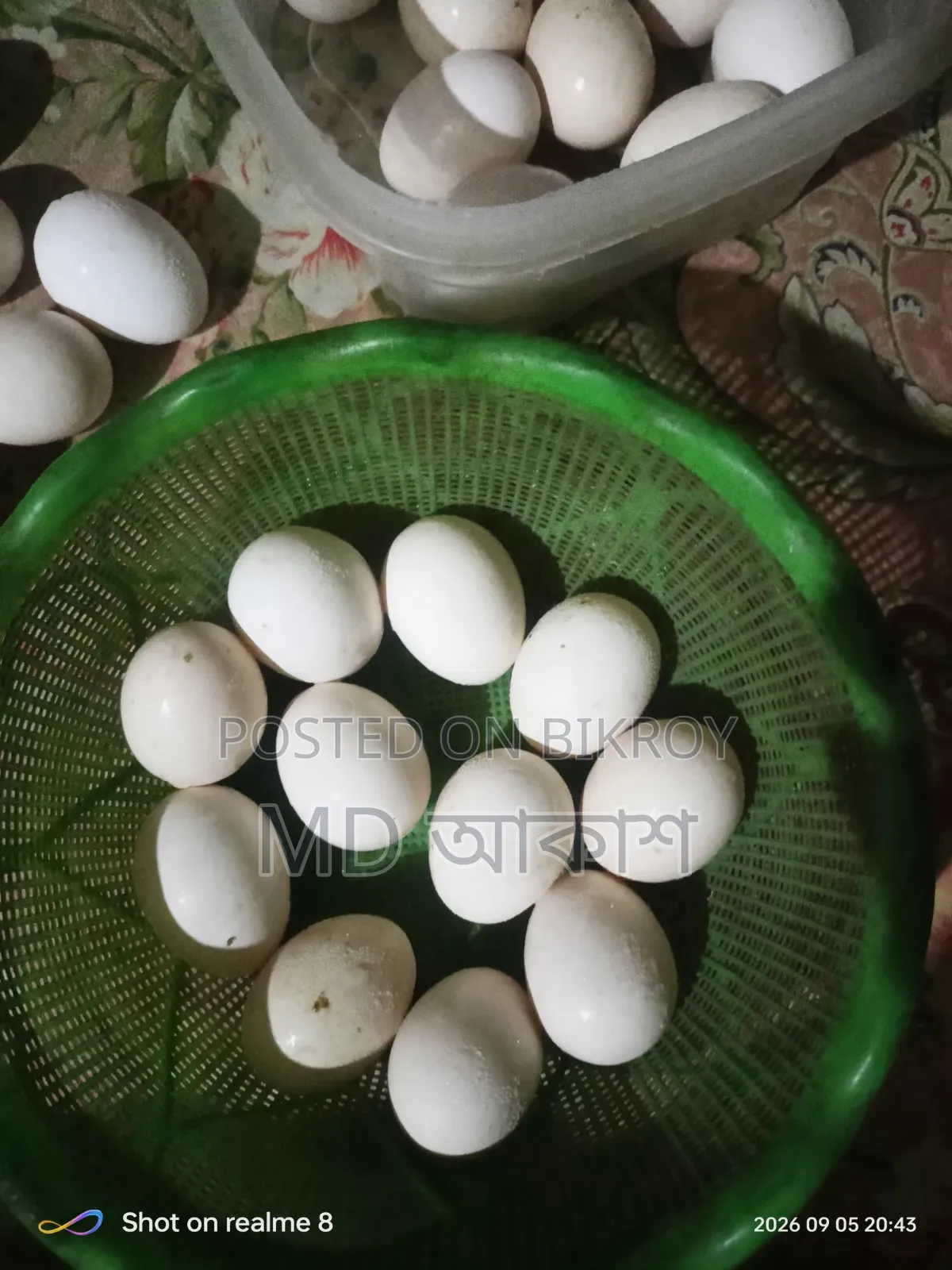 বেন্থাম এর বিজ ডিম