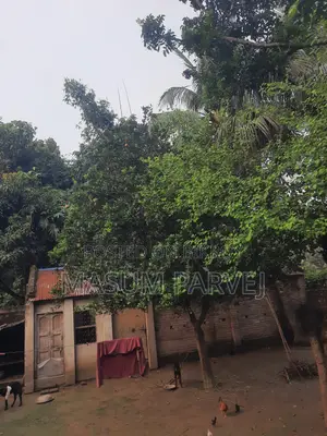 Hero Hunk 2011 Red