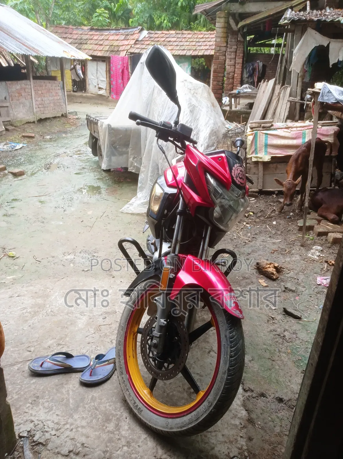 Roadmaster Prime 100 2015 Red