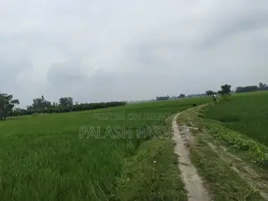 Urgent sale of 48 decimals of land by the roadside (direct owner)