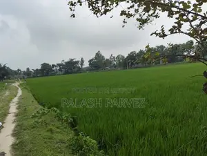 Urgent sale of 48 decimals of land by the roadside (direct owner)