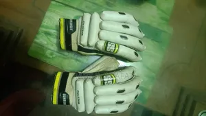 Cricket Gloves/Batting Gloves