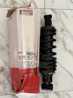 Yamaha FZ V3/V4 Bike Suspension
