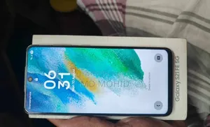 Samsung Galaxy S21 FE 5G 128 GB Gray