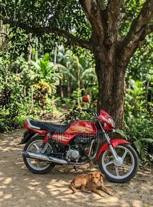 Hero Eco Deluxe 2021 Red