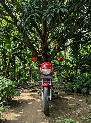 Hero Eco Deluxe 2021 Red