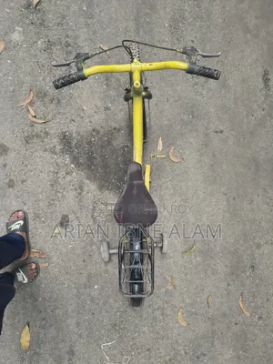 দুরন্ত বাইসাইকেল ১৮ ইঞ্চি