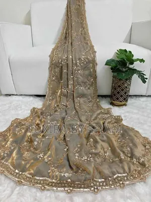 Pure Space Silk Saree Velvet Shine-এর অপূর্ব লুক