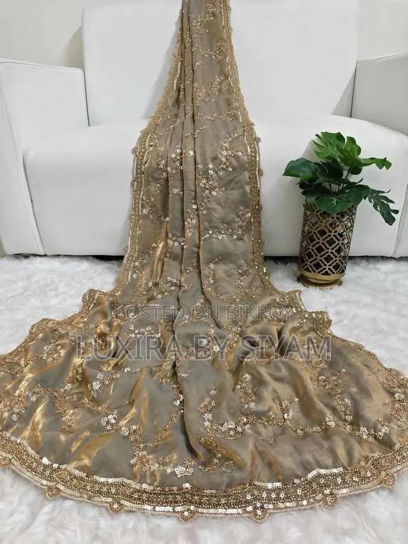 Pure Space Silk Saree Velvet Shine-এর অপূর্ব লুক