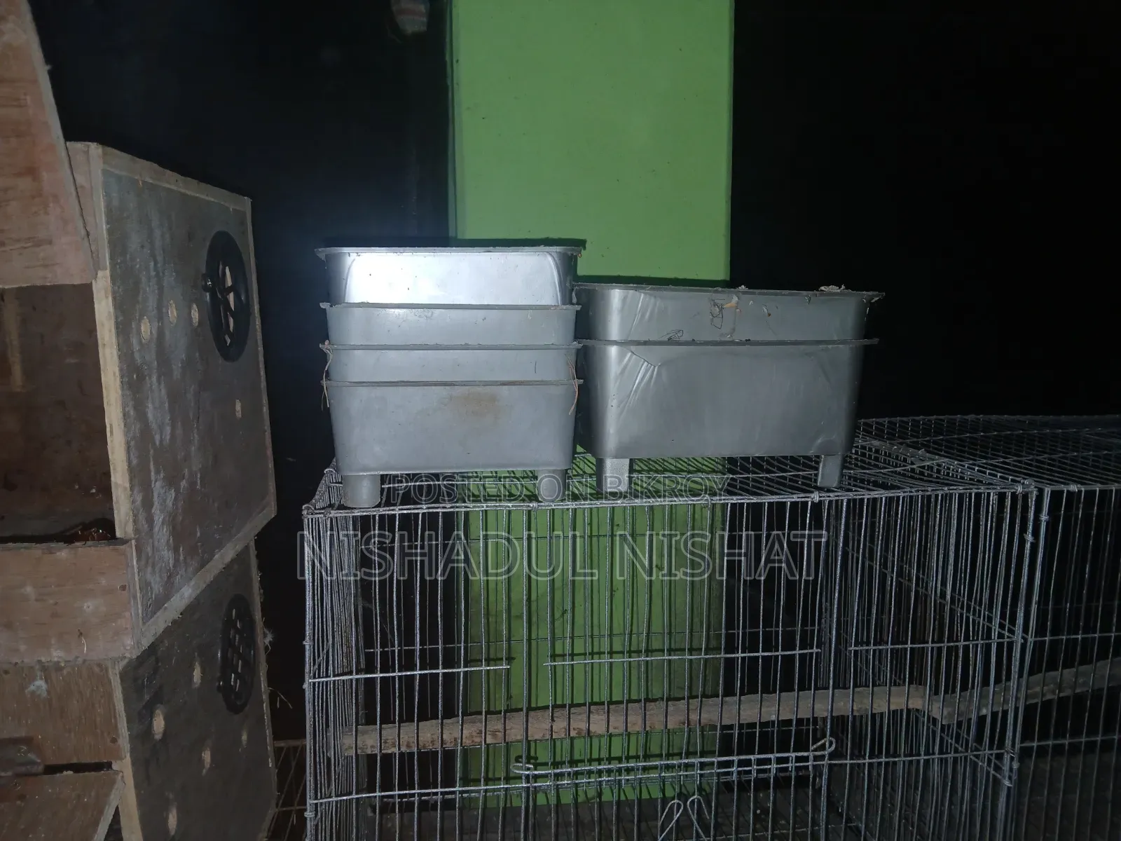 পাখির বক্স