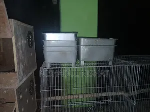 পাখির বক্স