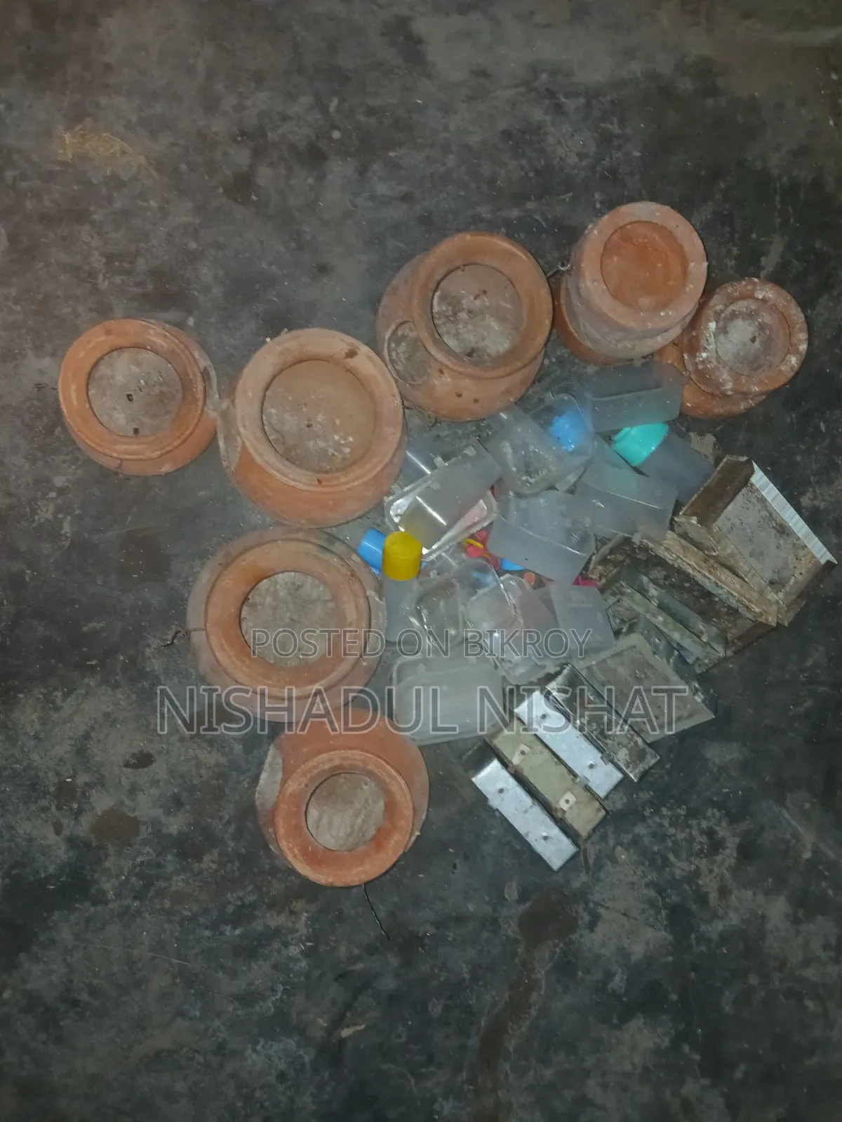 পাখির এক্সেসরিজ