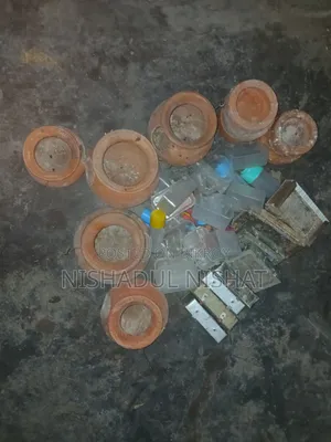 পাখির এক্সেসরিজ