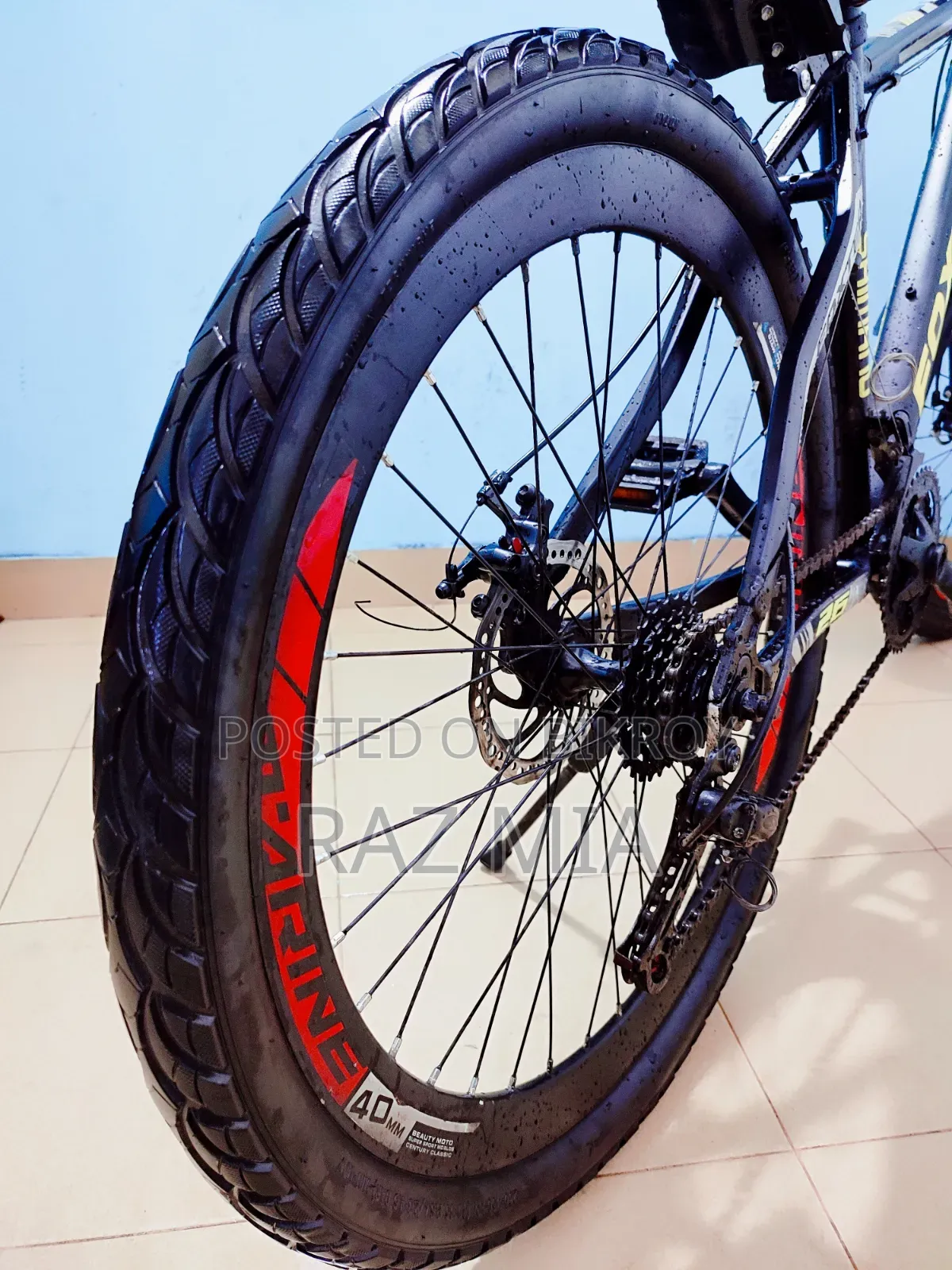 Foxter Gear Cycle