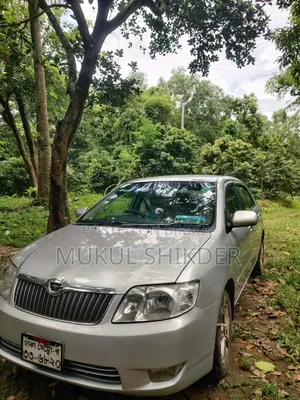 Toyota Corolla 2006 Silver