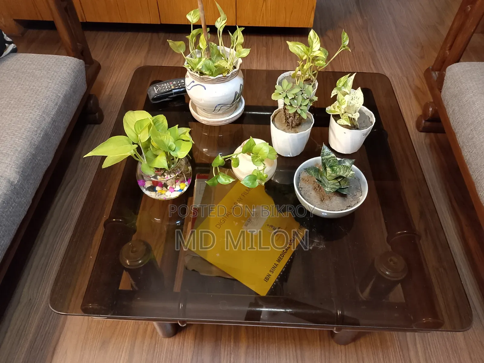 সেগুন কাঠের সোফা