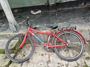 সাইকেল১০থেকে২০ বছরের ছেলে/মেয়ের জন্য