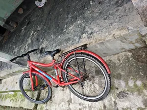 সাইকেল১০থেকে২০ বছরের ছেলে/মেয়ের জন্য