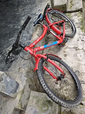 সাইকেল১০থেকে২০ বছরের ছেলে/মেয়ের জন্য