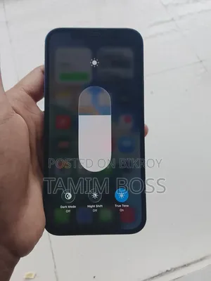 অ্যাপল আইফোন ১২ ১২৮ জিবি ব্লু