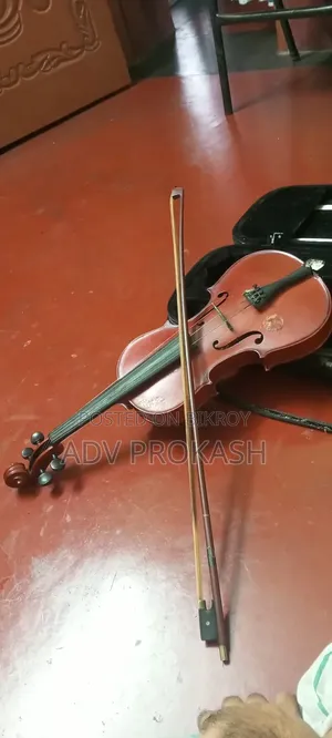 Acoustic Violin