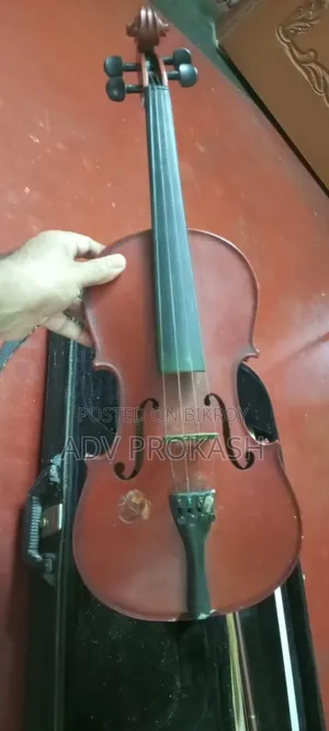 Acoustic Violin