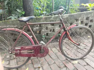 বাই সাইকেল