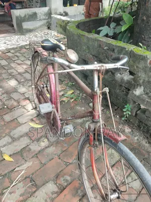 বাই সাইকেল