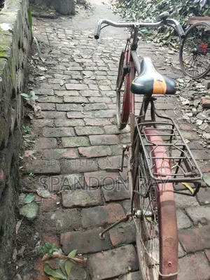 বাই সাইকেল