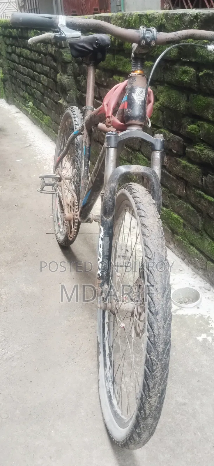 সাইকেল /Bicycle