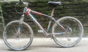 সাইকেল /Bicycle