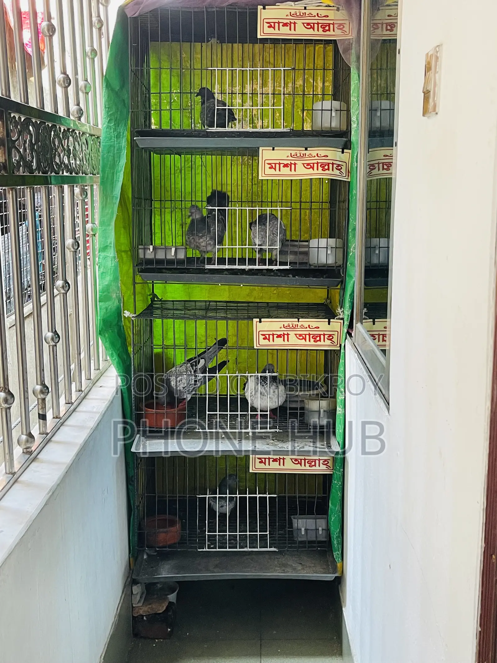 Cage of Pegion