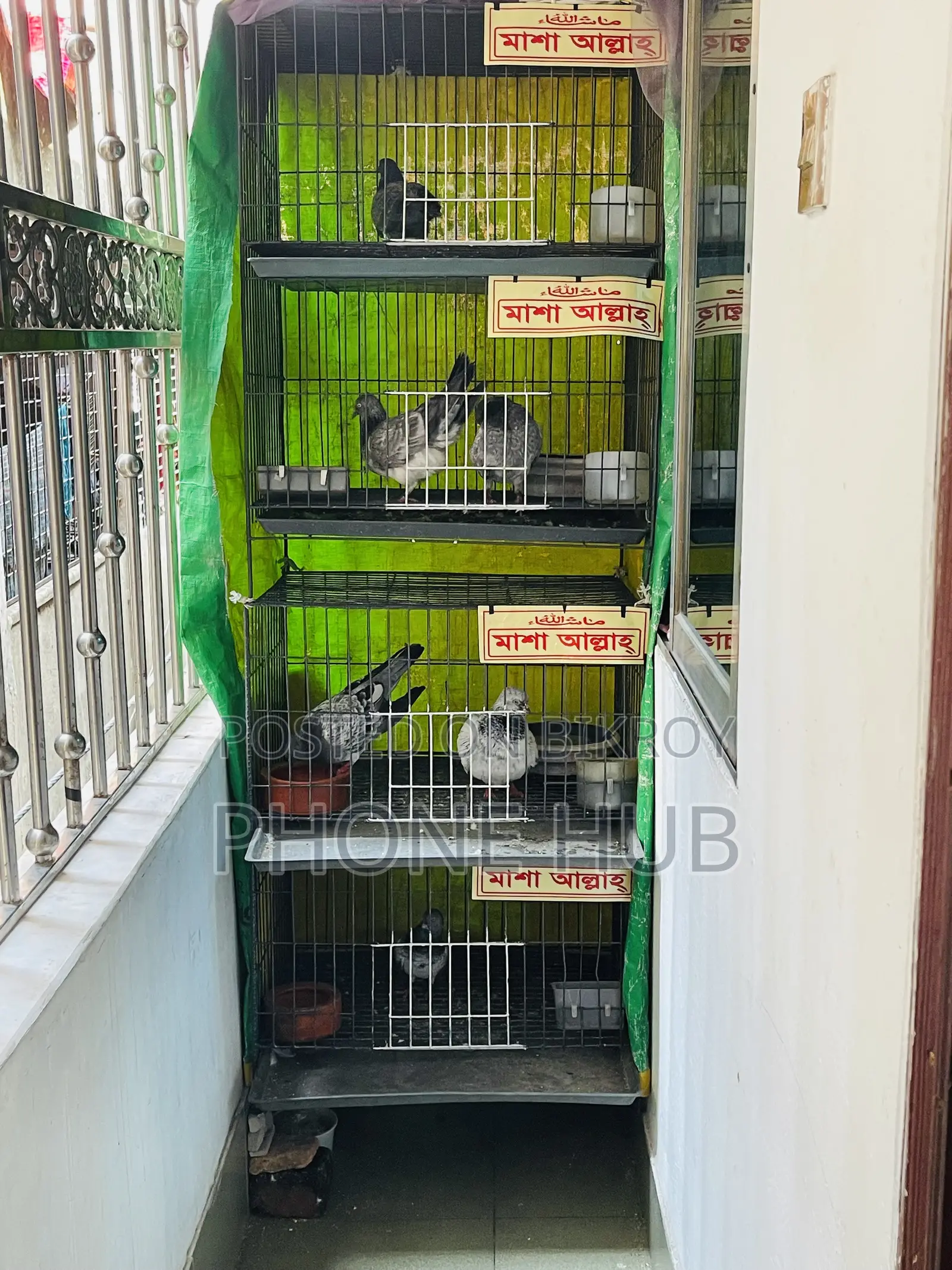 Cage of Pegion