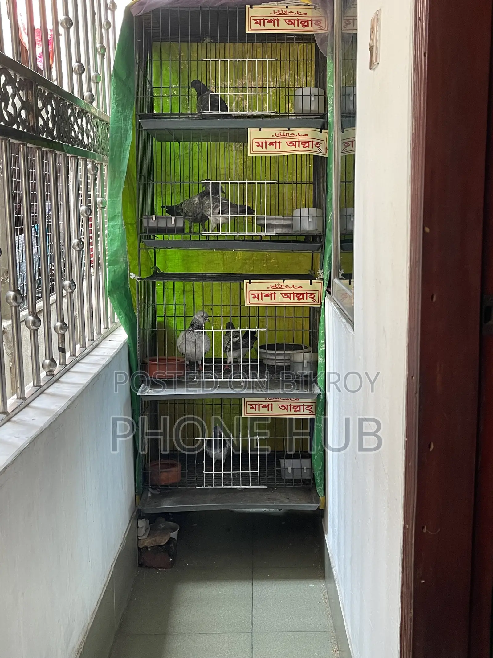 Cage of Pegion