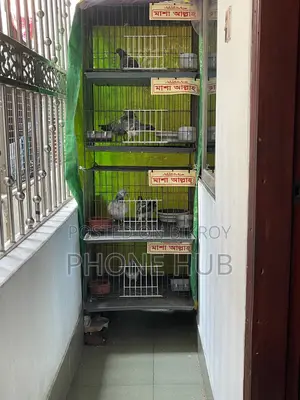 Cage of Pegion