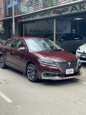 Toyota Premio 2020 Maroon