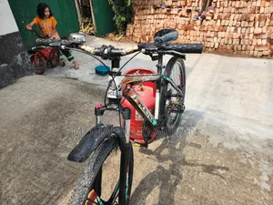 Phonix Cycle